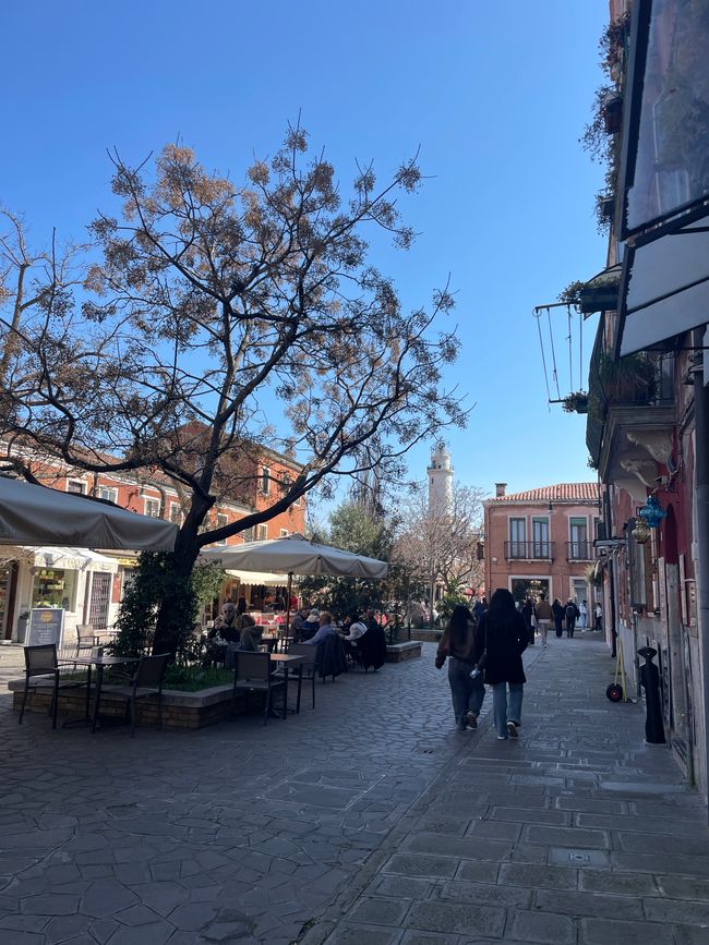 Strada secondaria verso il faro