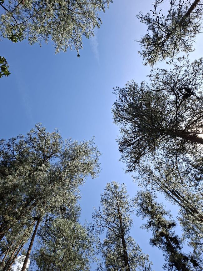 Woche 7: Warten auf Godot