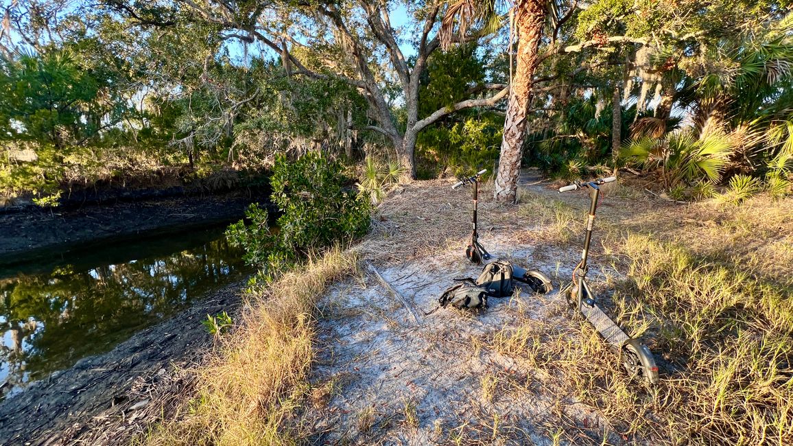 Tag 381 - Crystal River