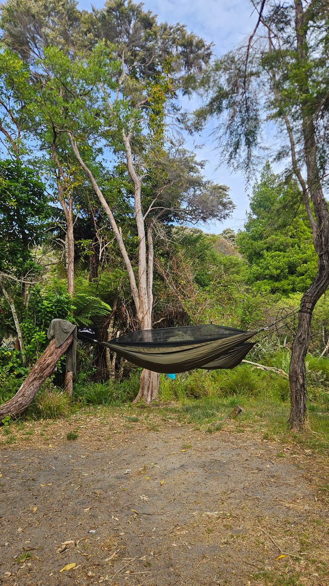 Abel Tasman Coastal Track