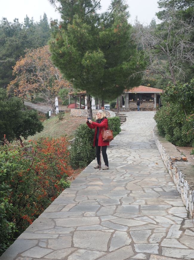 Tag 13 Petralona - Chalkidiki