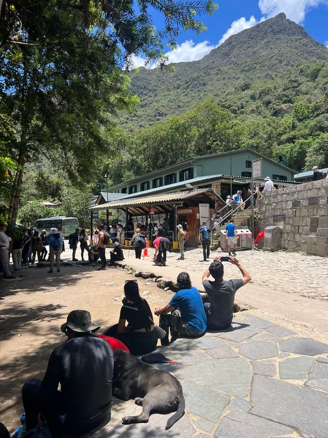 👷‍♂️Tag 26-2 (3.11.) Machu Picchu, die alte Inca-Stadt