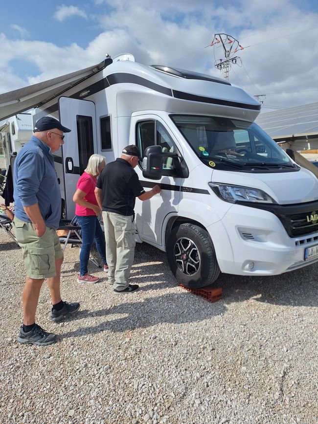 Market Day