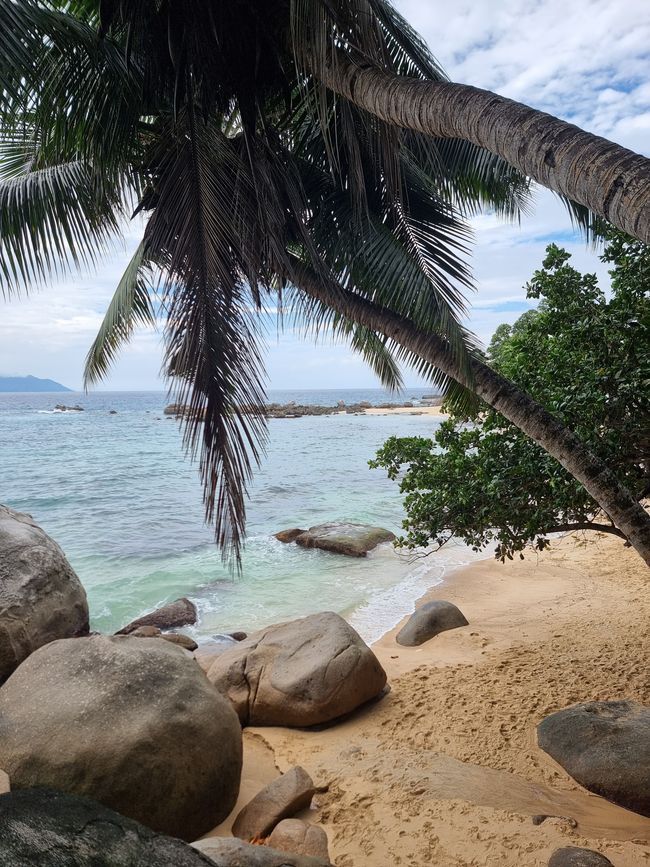Seychellen - Tag 5: Insel Mahe Norden