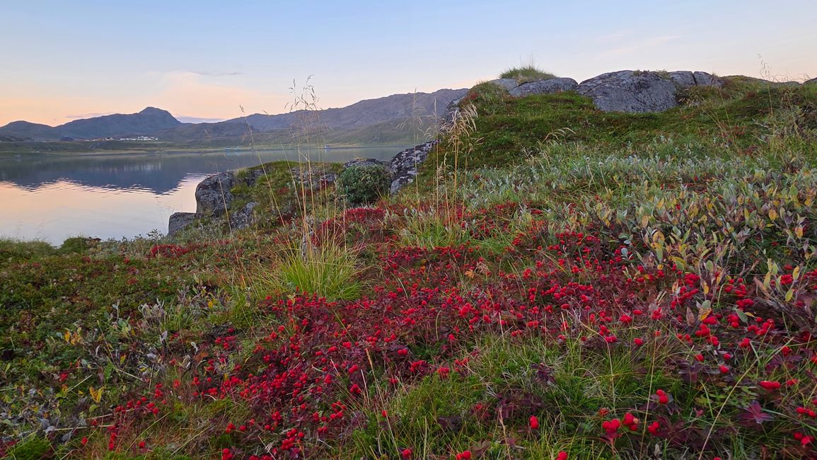 Norwegen-Nordkapp 1-17.September2025
9.September