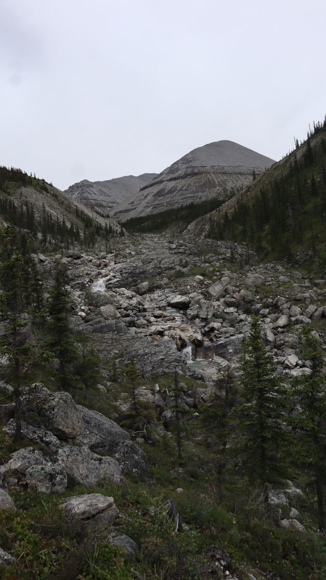Chetwynd