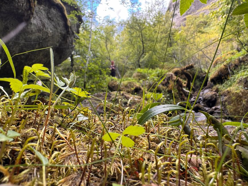 Hike to Systravatn