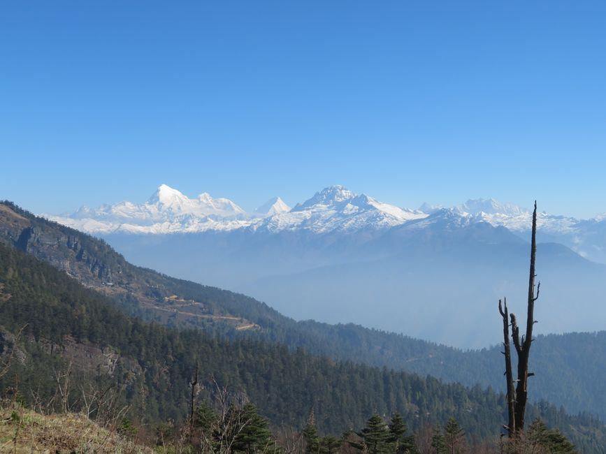 Himalaya