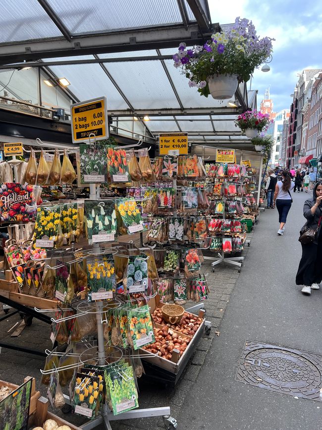 Tag 6 Richtung Amsterdam