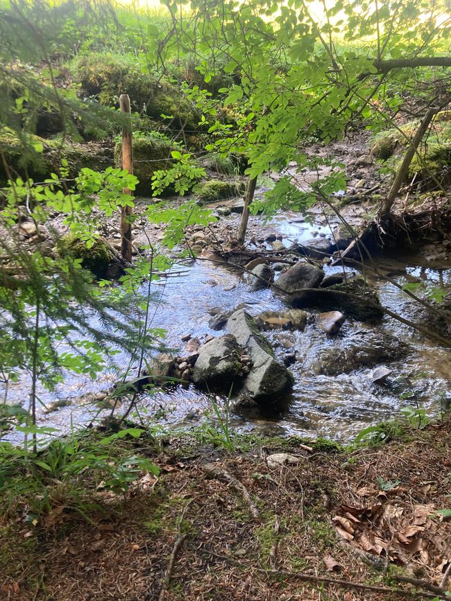 Das Wandern ist des Fischers  Lust-Ellegghöhe