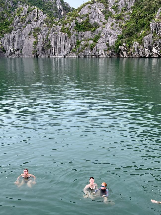 现在开始旅游了…