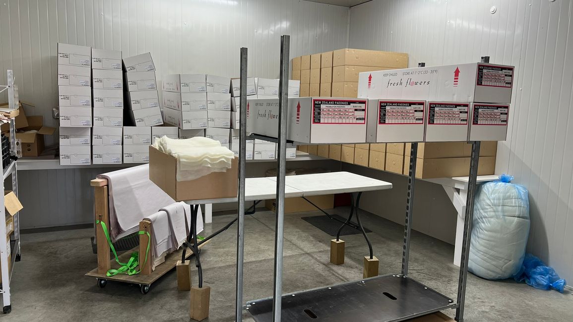 Die untere Hälfte wird mit Papier und Schafwolle ausgekleidet, bevor der Deckel drauf kommt