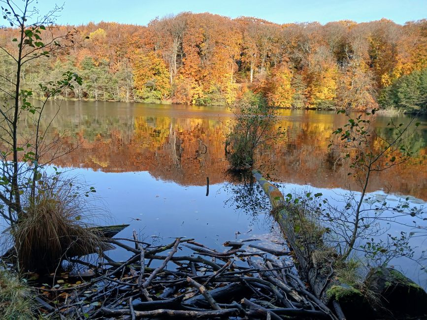 Little feet, wide land: Our start into the adventure of family
