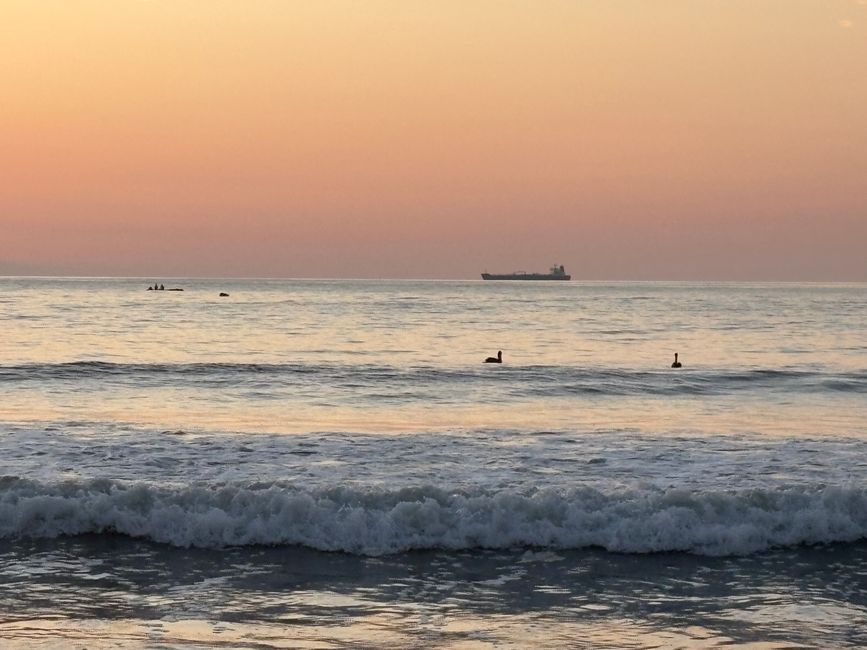Arica