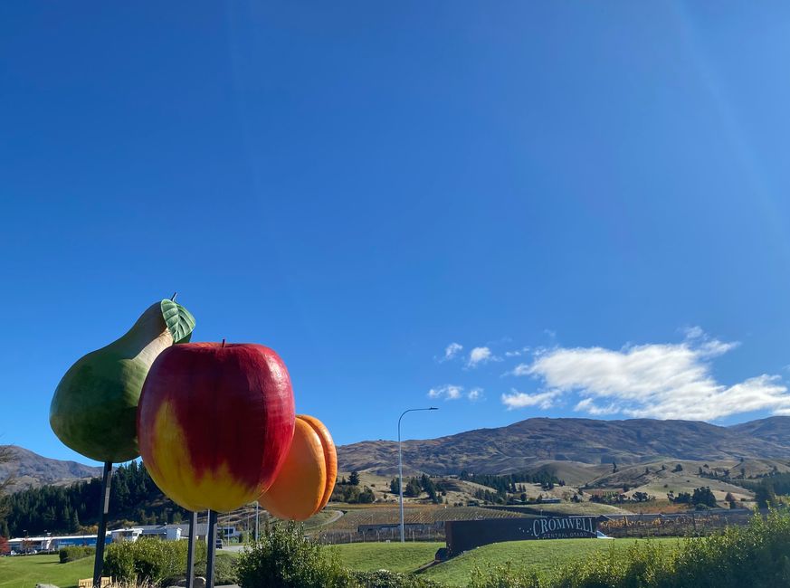 Wanaka - Cromwell - Clyde - Alexandra