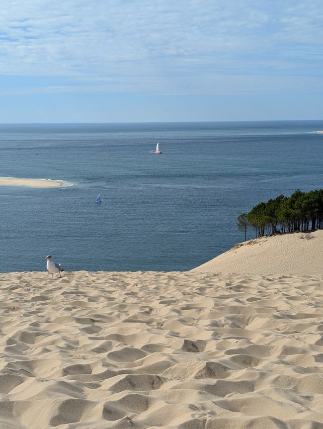 Destino: Arcachon