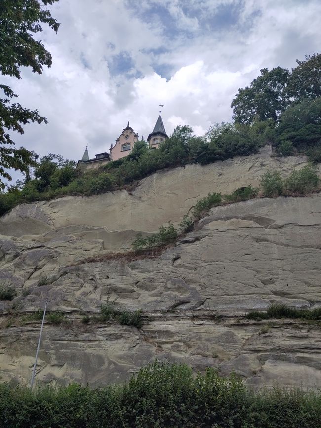 Molasse-Steilwände über dem Überlinger See