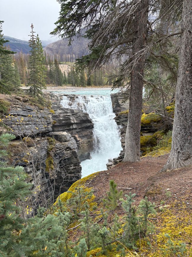Tag 12 - 🏔️ Wasserfälle, Wetterkapriolen & Wellness – ein (fast) perfekter Tag in Jasper