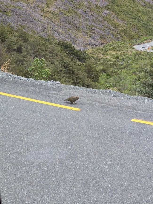 Milford Sound