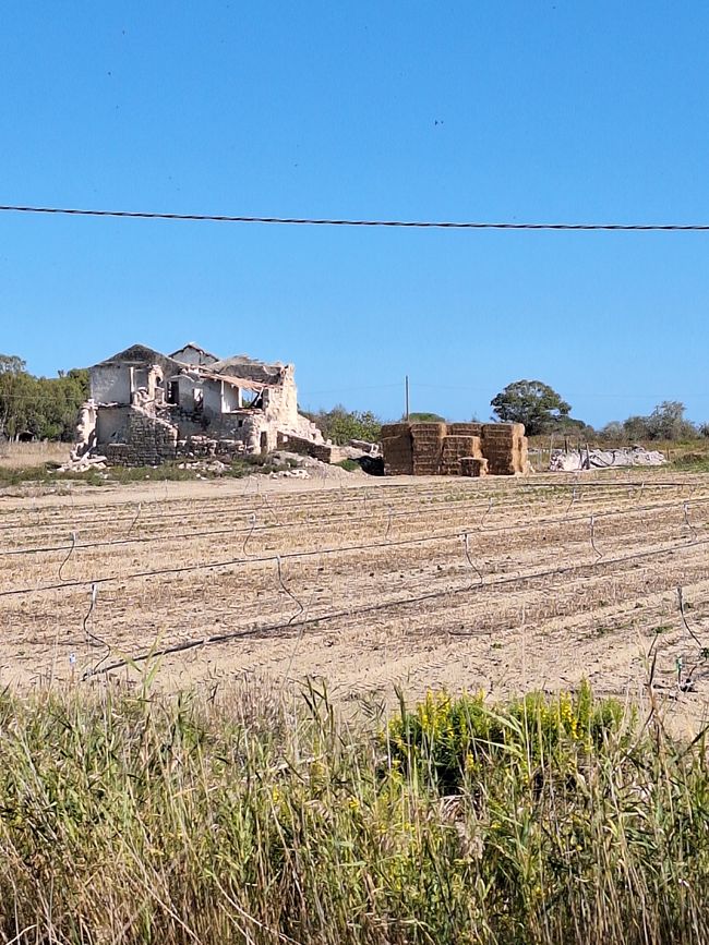 Muchas ruinas al borde del camino 