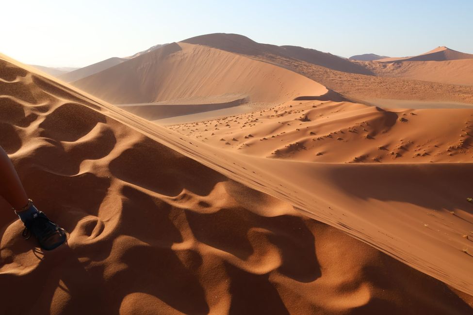 Desierto de Namibia 🏜️