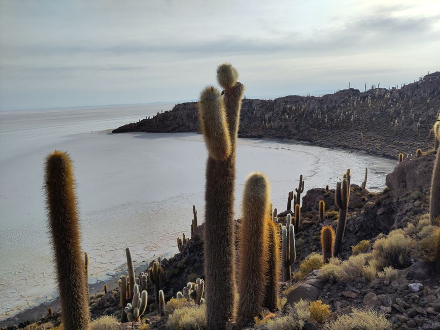 San Pedro und Co.: Wüste, Lagunen und ganz viel Salz 