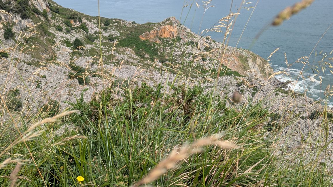 4. Etappe Camino del Norte von Liendo nach Santona