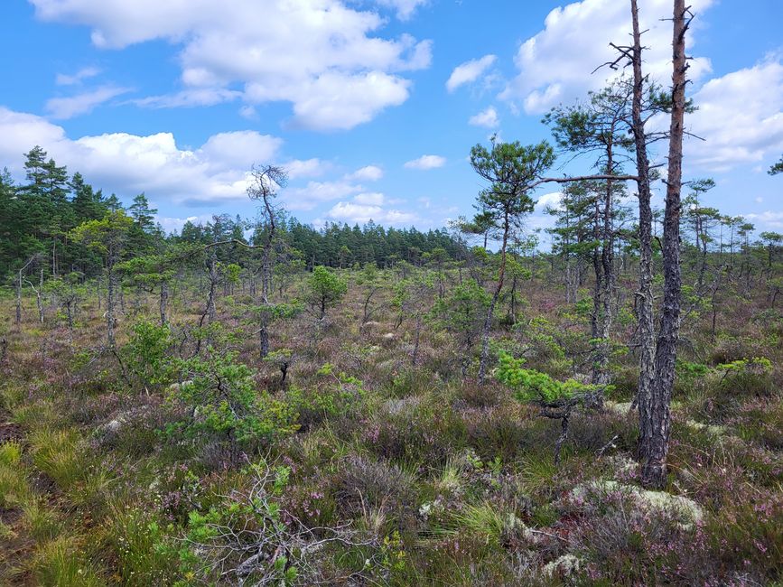 Store Mosse Nationalpark