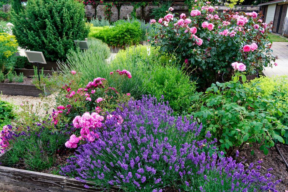 Im Klostergarten