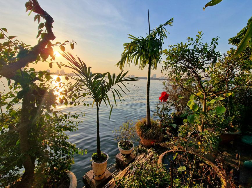 Wunderbarer Westlake