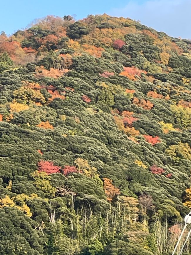 25.Capítulo: Un hermoso pueblo pesquero deshabitado y sentados en una maceta en Amanohashidate