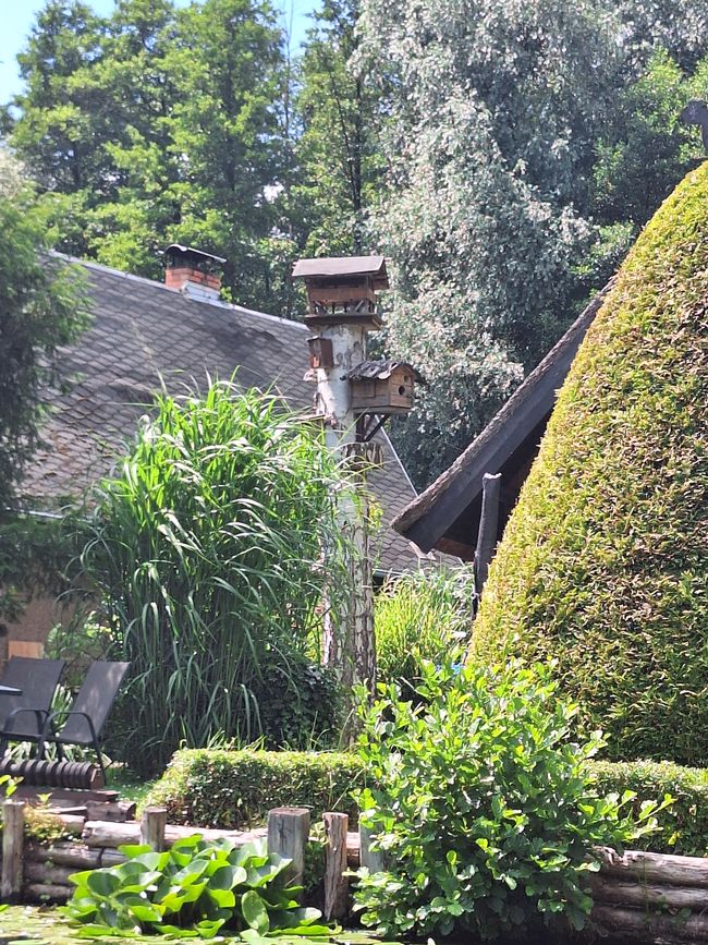 Nel Spreewald