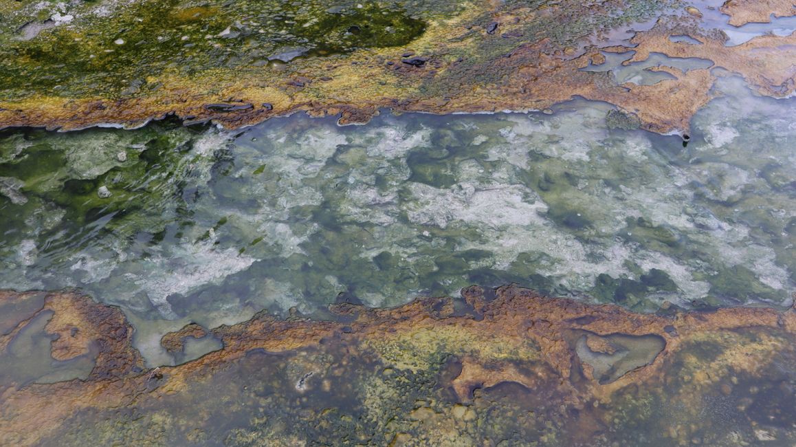 Super klares Wasser in einem kleinen Bach, der ganze Bach dampft und das Wasser ist heiß 