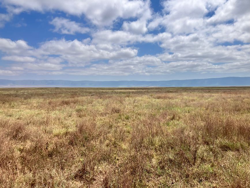 Il Cratere di Ngorongoro
