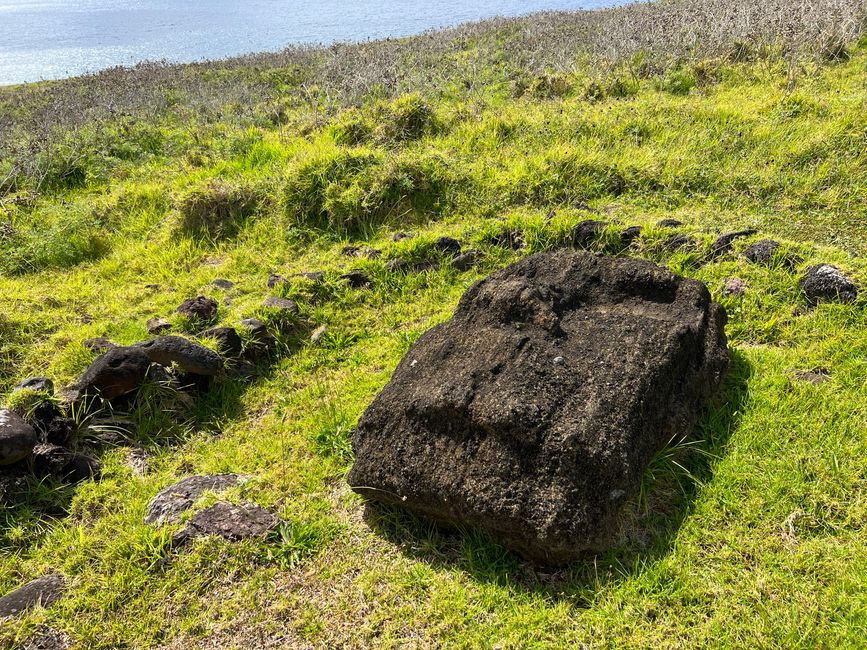 Molte figure sono state abbattute dai terremoti