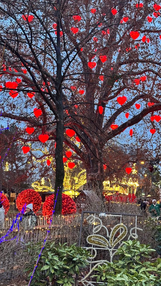 A Fairytale Christmas: Vienna, Budapest, and Bratislava Bus Tour 2025