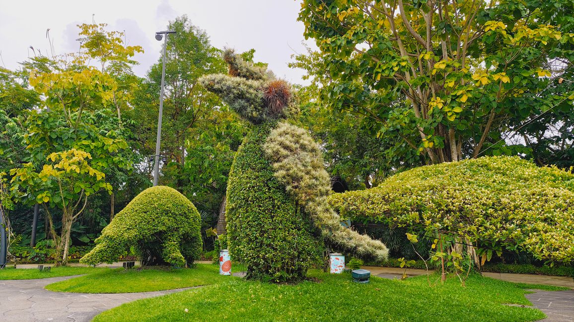 Gardens by the Bay - Nashornvogel