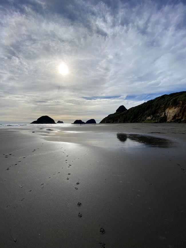 Back Beach New Plymouth