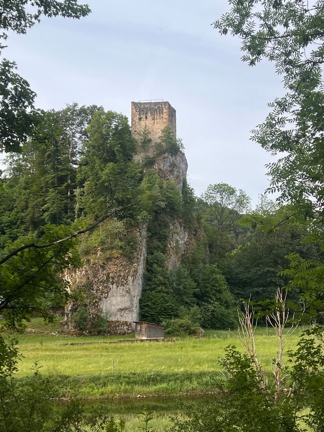 24 nach Donaueschingen