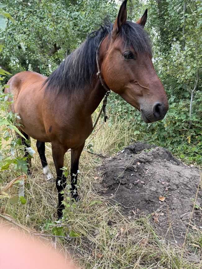 Ein normaler Tag in Chapa