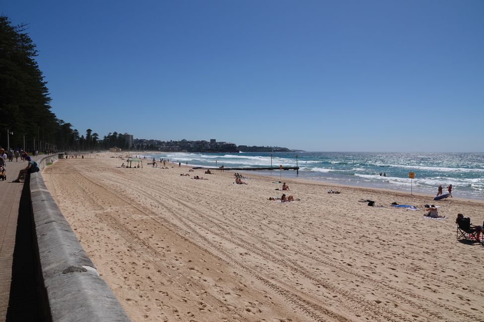 Ocean Beach
