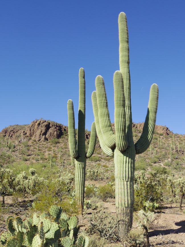 steiners-usa-southwest-2025