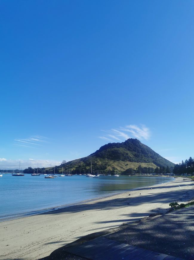 hike up Mount Mauao