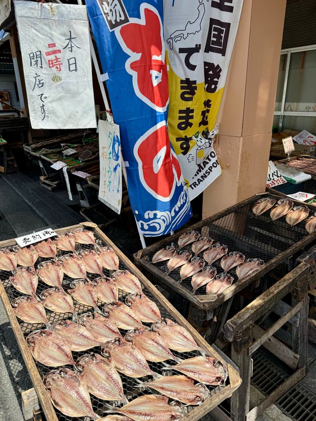 Teil 12 Japan 🇯🇵 Abreise und Fazit der gesamten Reise
