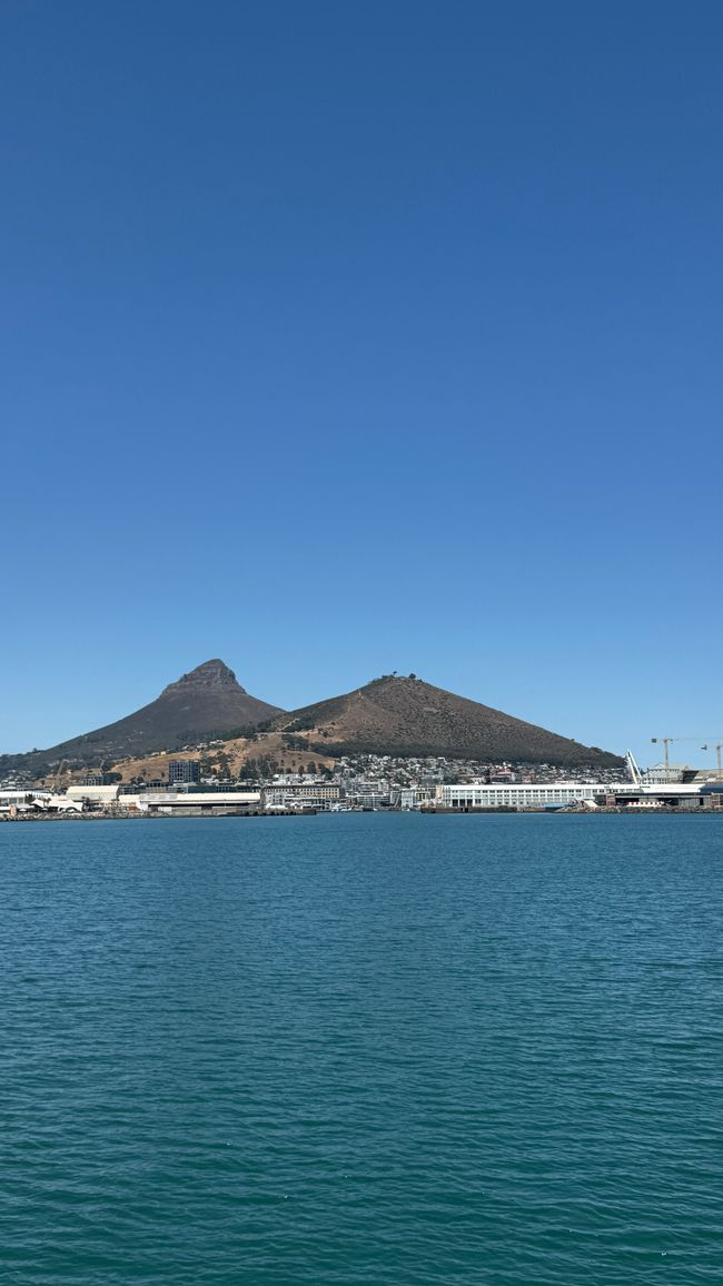 Tour del porto a Città del Capo, Spiaggia di Muizenberg, Spiaggia di Boulders, Capo di Buona Speranza