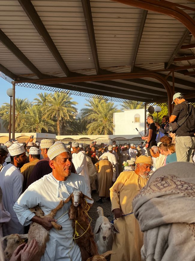 Nizwa