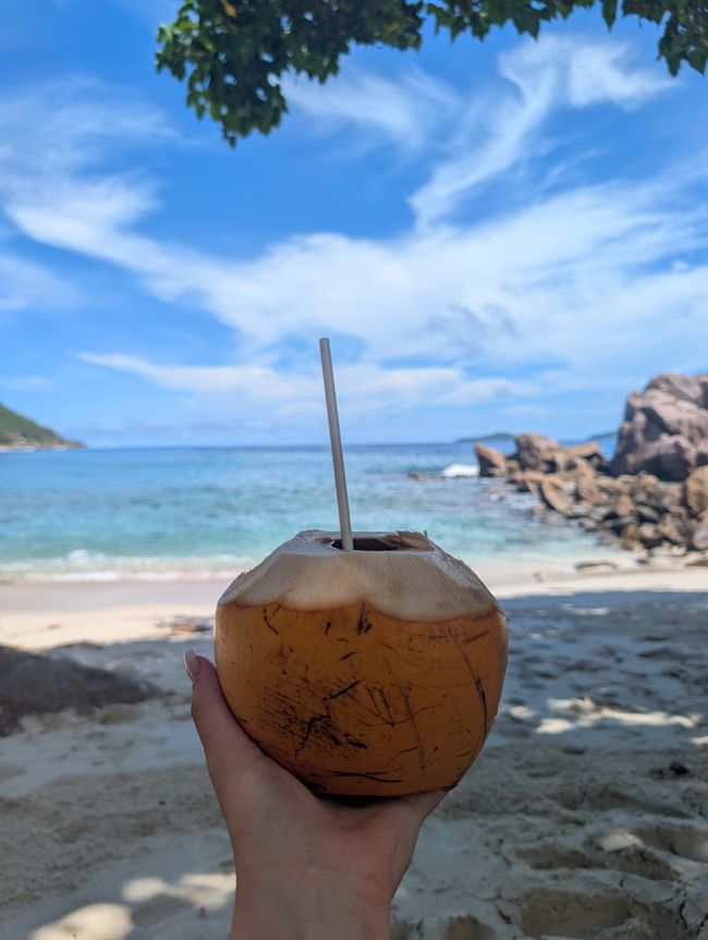 Balade à vélo spéciale dans le paradis🚲🌴