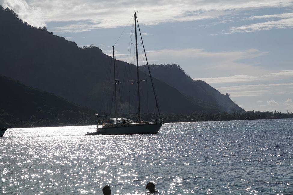 Heute war unser letzter Tag auf Moorea ....