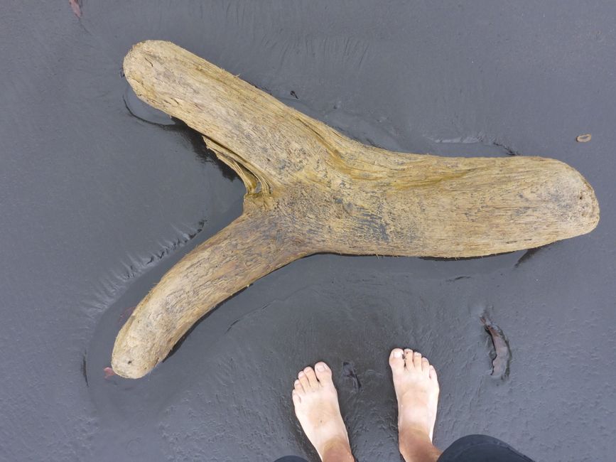 Strandgut