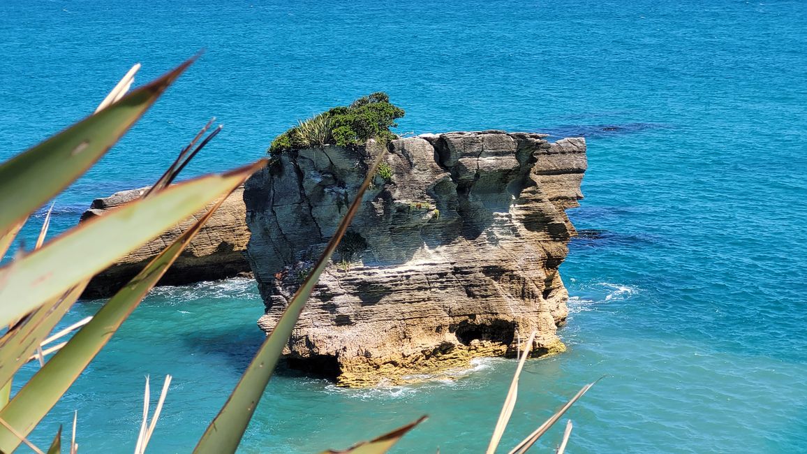 29.Januar-27.Februar 2025 Neuseeland
15.Januar